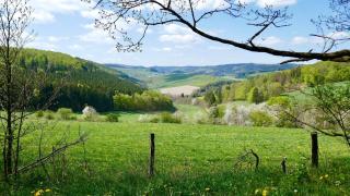 Kristall Apartments D - Winterberg - 2