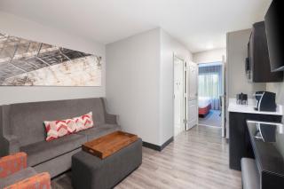 Springhill Suites by Marriott Conyers - Conyers - 6