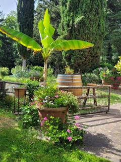 La Casa nel Chianti - Greve in Chianti - 7