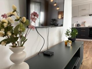Green Lux Apartment - Inđija - 5