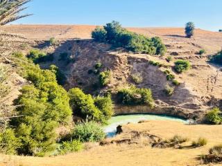 Riverside Luxury Farm - Pool & Stunning Views - Oulad Yakoub - 6