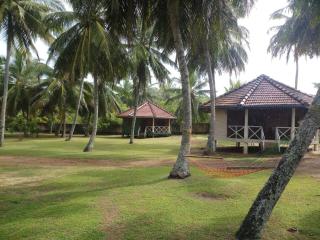 Coconut Grove Beach Cabanas - 8