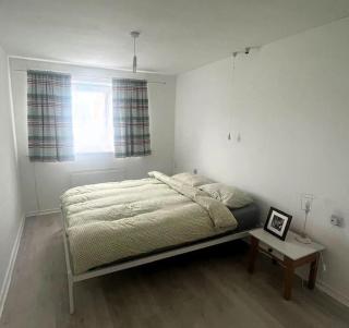 Cosy flat in Romford, 30 mins from London City - Friern Barnet - 1