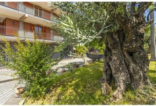 Il Giardino di Pietra - Aci SantʼAntonio - 8