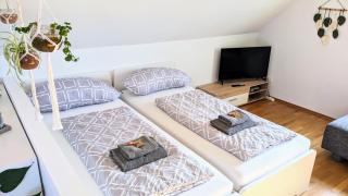 Moderne Einliegerwohnung am Wald - Langenfeld - 2