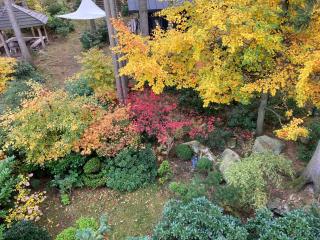 Skała apartament - 5