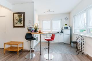 AML - Atelier Musique Lutherie - Appt 20 min de Metz - 5