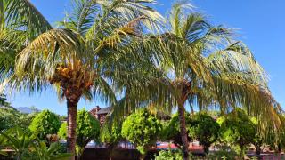 Hotel Jardín Garden de Granada Nicaragua - 1