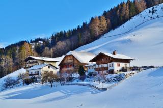 Pension Spreitzhof & Appartement Royer - Schladming - 1