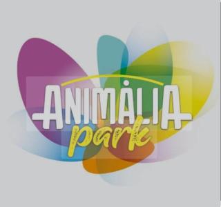 Casa Simples aconchegante Cotia perto dos Parques da Região - Cotia - 2