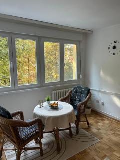 Apartman Tejsi - 9