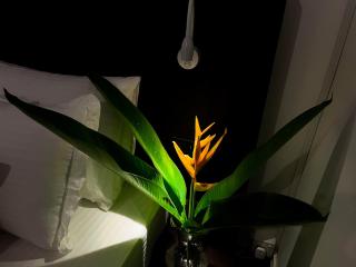 Galle Nature Nook - 8