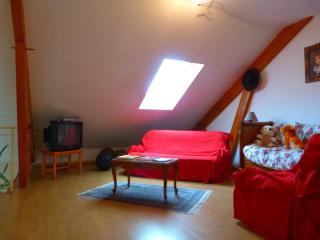 Chambre Bleue Lumineuse et Climatisée - FR-1-591-672 - Velles - 3