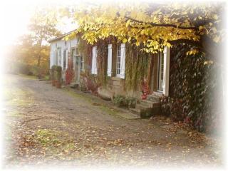 Chambre d'hôtes avec salle d'eau privée dans un Prieuré historique - FR-1-589-737 - Aydoilles - 1