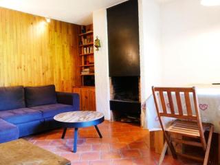Appartement chaleureux près des pistes avec cheminée - FR-1-181-2839 - La Plagne Tarentaise - 9
