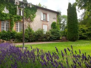 Chambre d'hôtes avec salle d'eau privée dans un Prieuré historique - FR-1-589-737 - Aydoilles - 6