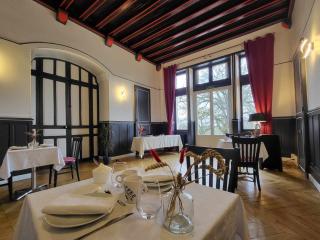 Élégant séjour au Château, confort moderne et activités alentour - FR-1-591-680 - Cluis - 2