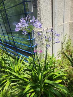 Alojamiento Ñuñoa Estadio Nacional - 5