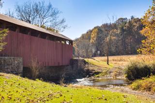 Tranquil Mt Pleasant Mills Retreat on 60-Acre Farm - 6