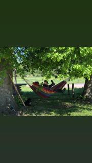 Ferienwohnung Friesenstube - Zetel - 2