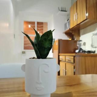 Posada Huitzilin Teotihuacan - 7