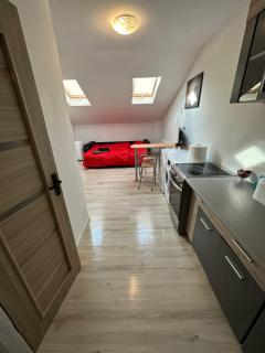 Cazare Regim Hotel - Arad - 3