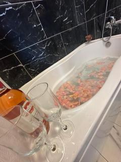 Cazare Regim Hotel - Arad - 0