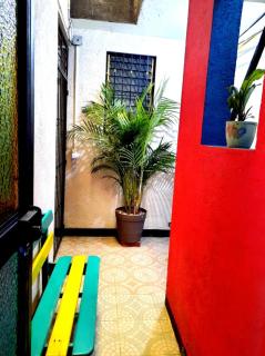 La Terraza del Pochote - Città di Oaxaca - 5