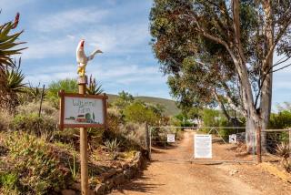 Watermill Farm Cottages - Van Wyksdorp - 8