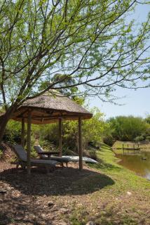 Watermill Farm Cottages - Van Wyksdorp - 6
