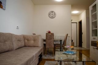 Comfort apartment Bulevar with garage - Sarajevo - 8