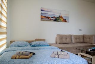 Comfort apartment Bulevar with garage - Sarajevo - 3