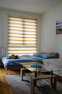 Comfort apartment Bulevar with garage - Sarajevo - 7