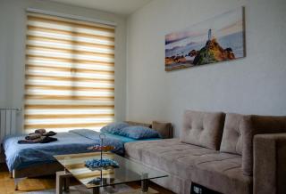 Comfort apartment Bulevar with garage - Sarajevo - 5