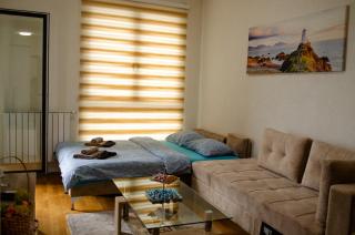 Comfort apartment Bulevar with garage - Sarajevo - 9