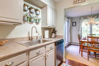 Pet-Friendly Wintergreen Resort Condo with Patio! - Mount Torry Furnace - 6