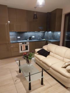 Apartament Poleska - Częstochowa - 1
