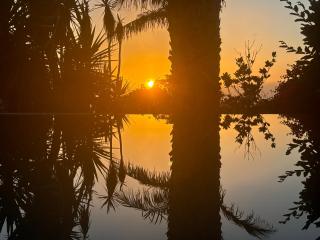Suite Bela Vigia 3 - Jardim do Mar - 7