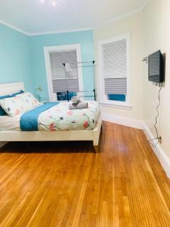 Nice large room in Federal Hill, Downtown with shared bathroom and kitchen bb - Providence - 3
