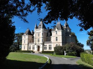Élégant séjour au Château, confort moderne et activités alentour - FR-1-591-680 - Cluis - 3