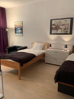 Lovely Tirana City Center Apartment - Tirana - 7