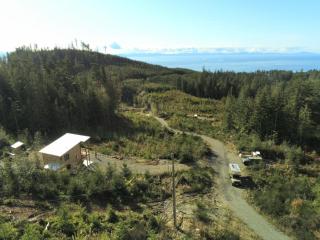 Funky Forest Bnb - Shirley - 2
