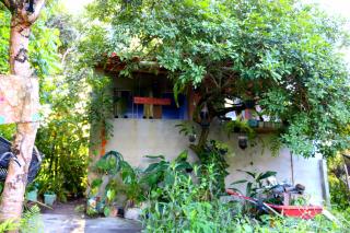 Casinha do Pedro - I love Boipeba - 1