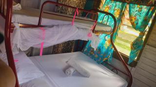 Tai Evi 2 - - 5