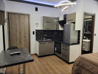 LUX&EAZY central modern studio - 3