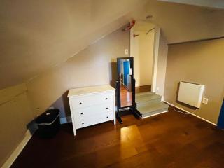 Nice room near Whole Foods, Brown University with shared bathroom and kitchen da - Providence - 7