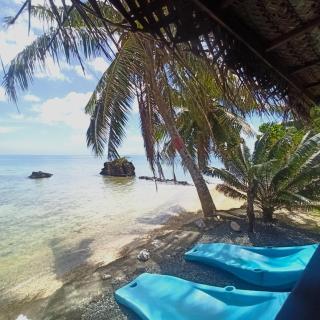 Te Nahe Toetoe - New Look 2025 - 1