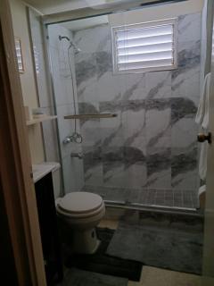 Chelsea Manor - Kingston - 4