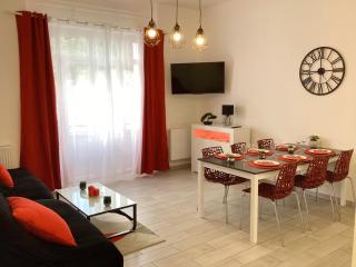 Appartement Stella 95 m2 climatisé parking proche Sanctuaires - Lourdes - 9