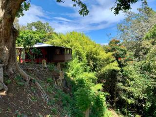 ROMATIC WATERFALL CABIN in the Rainforest - Honokaa - 0